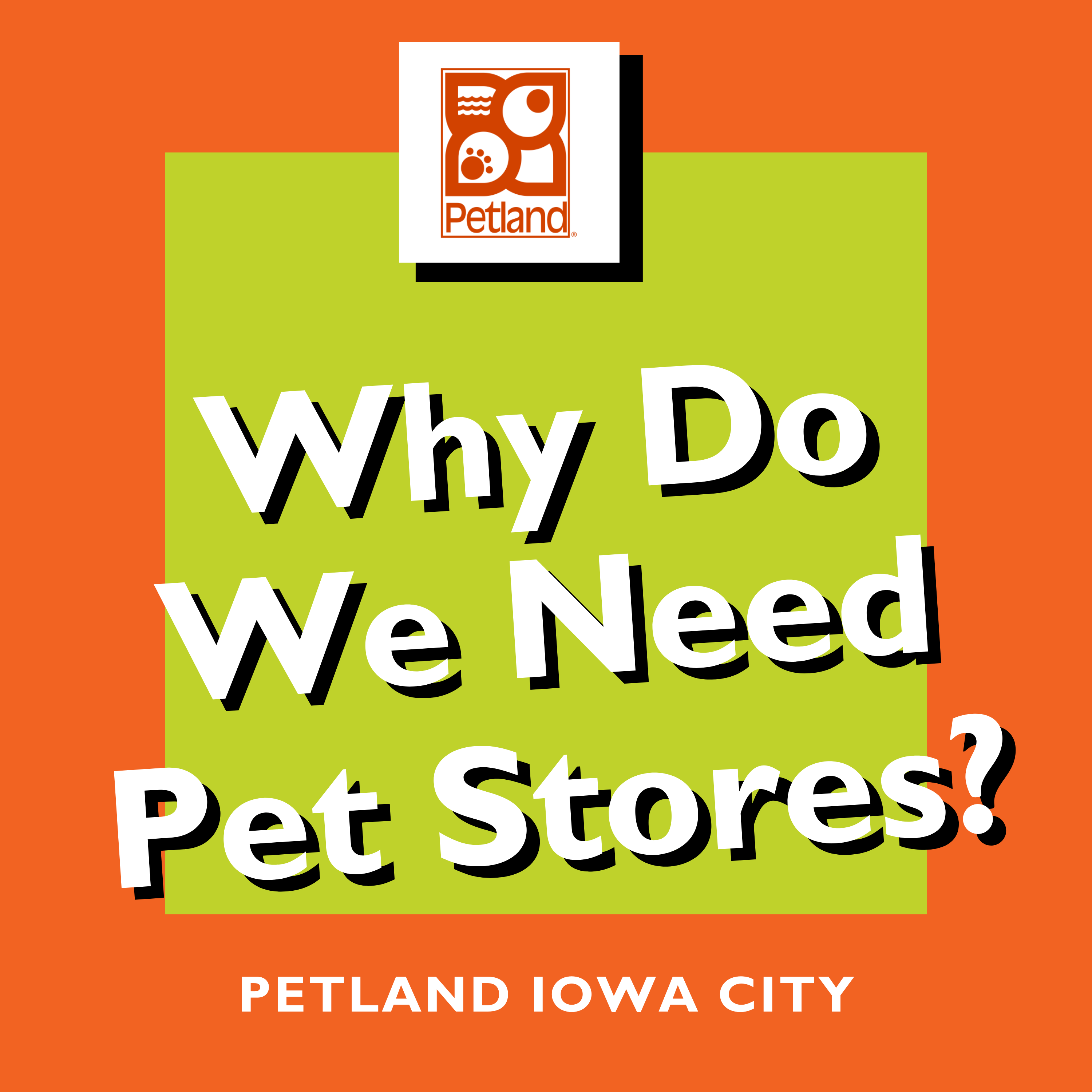 Pet Store Banner