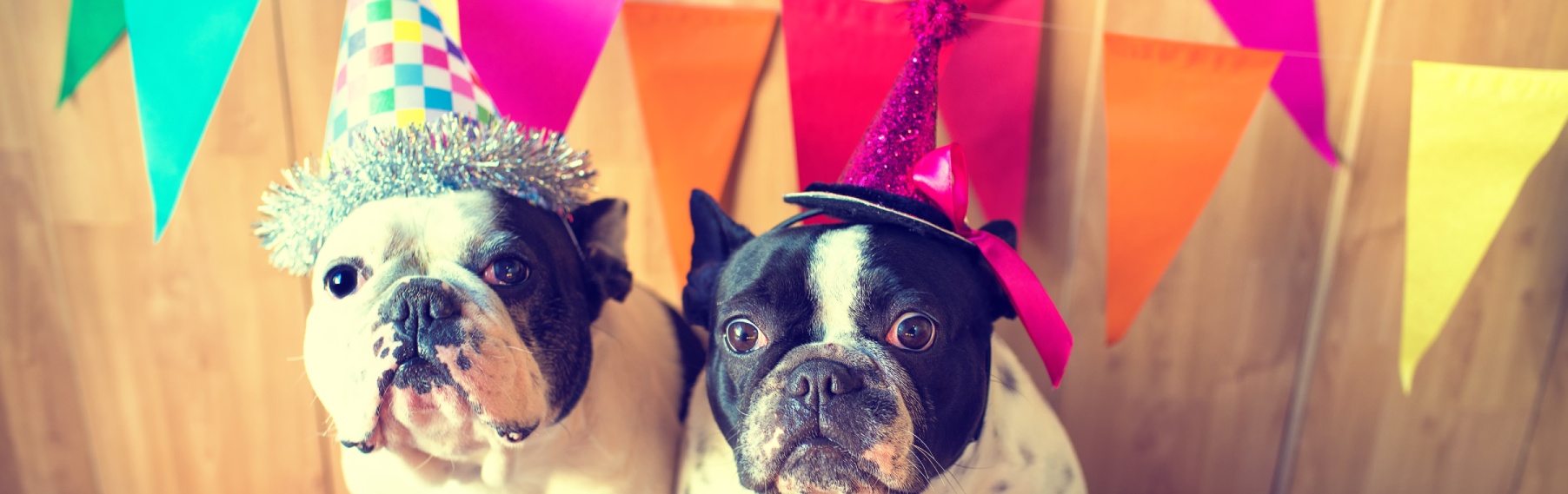 Pet Store Banner