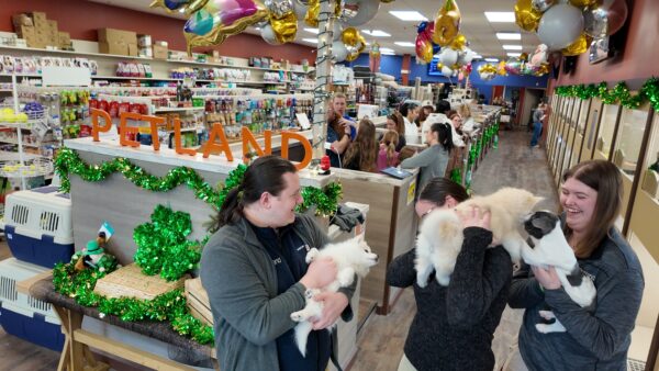 Frequently Asked Questions: Petland Iowa City