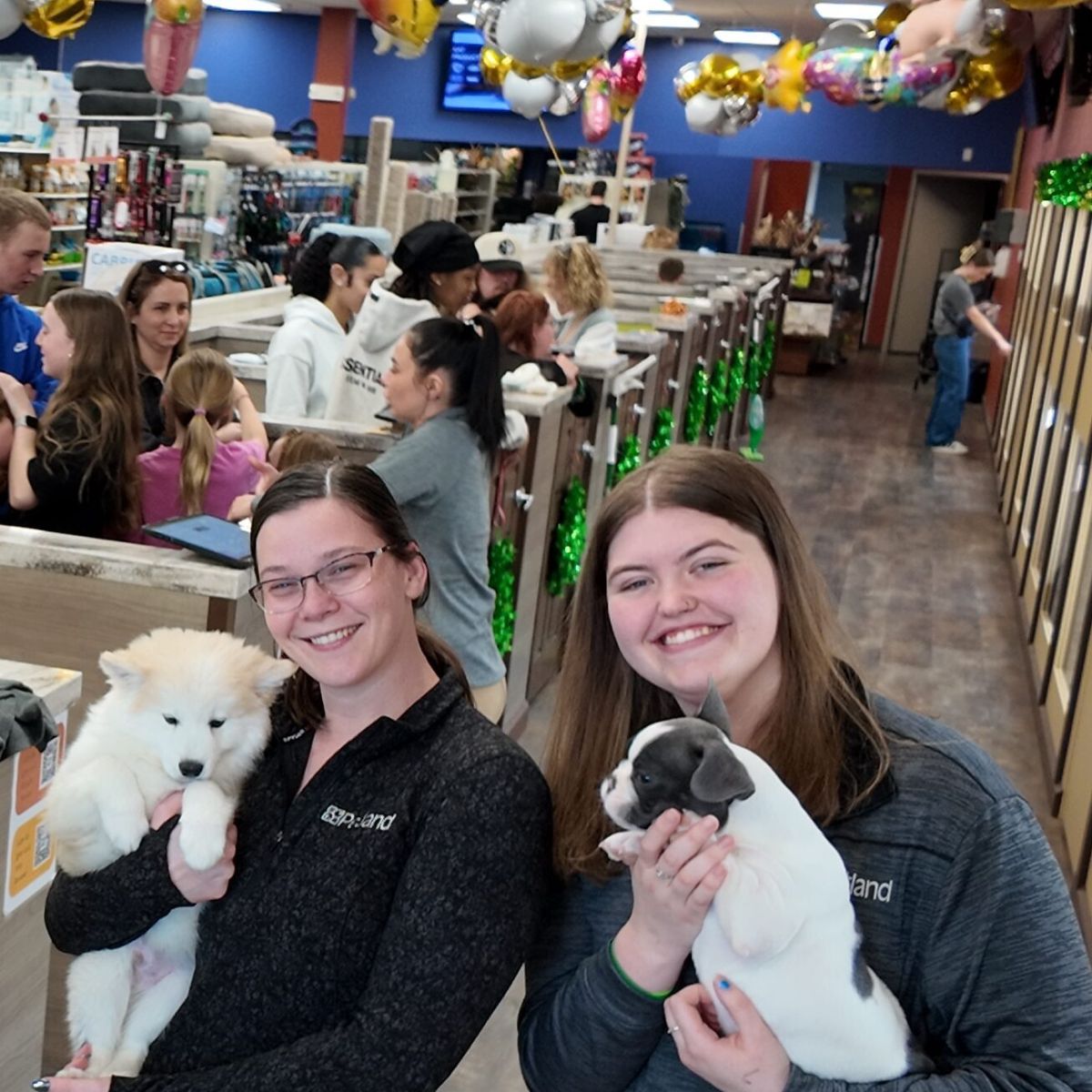 Petland-Iowa-Puppy-Play-Rooms-Ethical-Breeders